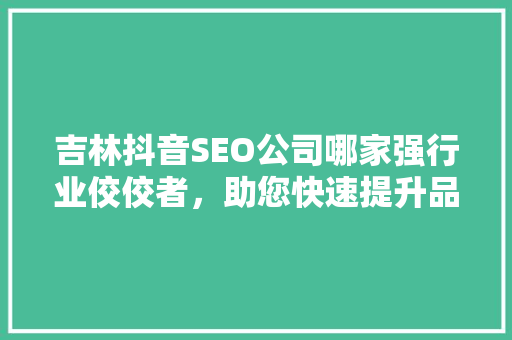 吉林抖音SEO公司哪家强行业佼佼者，助您快速提升品牌知名度