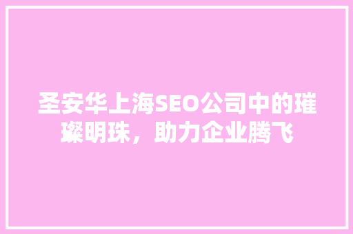 圣安华上海SEO公司中的璀璨明珠，助力企业腾飞