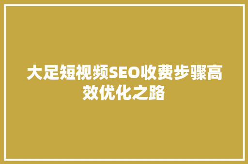 大足短视频SEO收费步骤高效优化之路