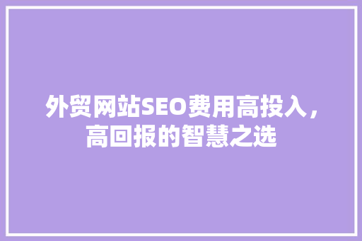 外贸网站SEO费用高投入，高回报的智慧之选