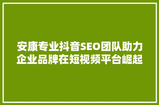 安康专业抖音SEO团队助力企业品牌在短视频平台崛起