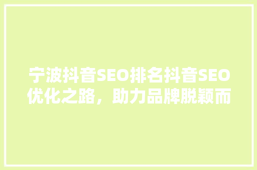 宁波抖音SEO排名抖音SEO优化之路，助力品牌脱颖而出