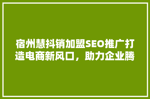 宿州慧抖销加盟SEO推广打造电商新风口，助力企业腾飞