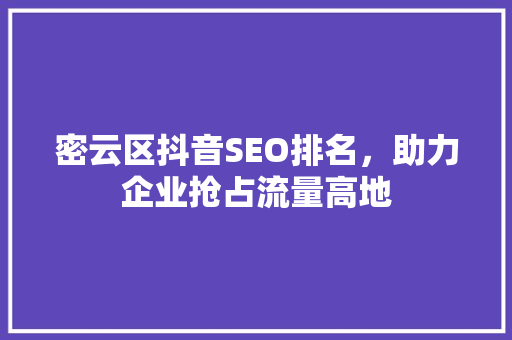 密云区抖音SEO排名，助力企业抢占流量高地