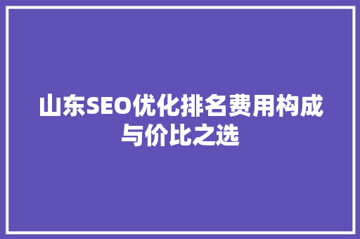 山东SEO优化排名费用构成与价比之选