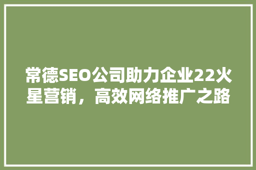 常德SEO公司助力企业22火星营销，高效网络推广之路