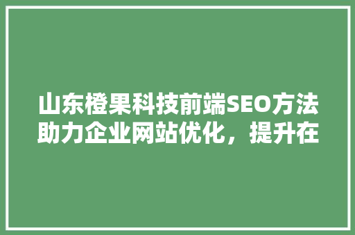 山东橙果科技前端SEO方法助力企业网站优化，提升在线竞争力