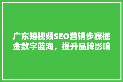 广东短视频SEO营销步骤掘金数字蓝海，提升品牌影响力
