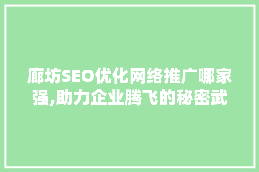 廊坊SEO优化网络推广哪家强,助力企业腾飞的秘密武器