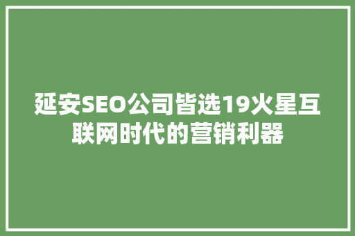 延安SEO公司皆选19火星互联网时代的营销利器