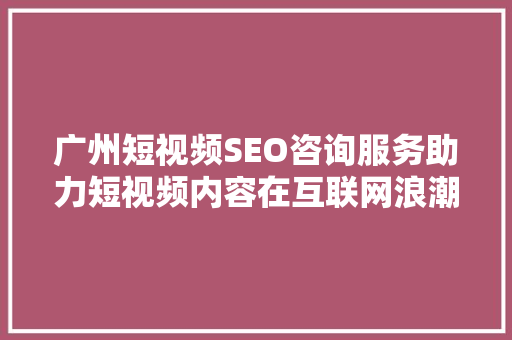 广州短视频SEO咨询服务助力短视频内容在互联网浪潮中脱颖而出