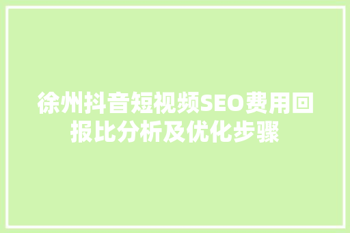 徐州抖音短视频SEO费用回报比分析及优化步骤