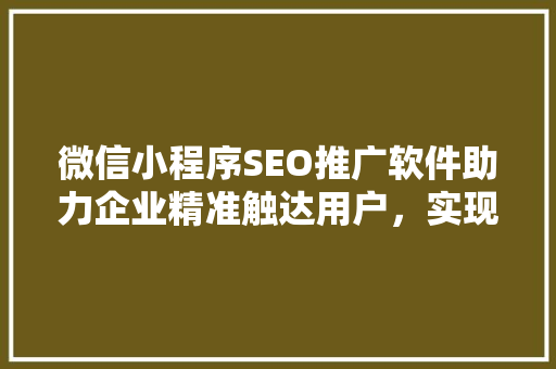 微信小程序SEO推广软件助力企业精准触达用户，实现高效增长