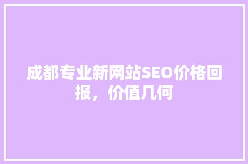 成都专业新网站SEO价格回报，价值几何