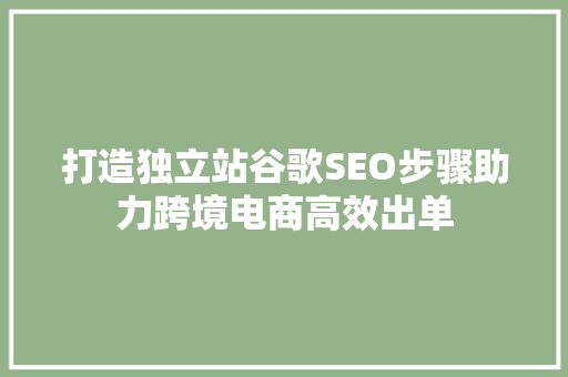 打造独立站谷歌SEO步骤助力跨境电商高效出单