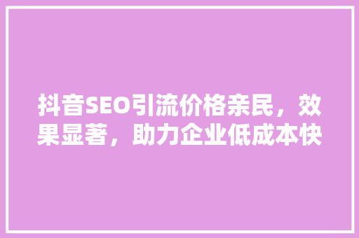 抖音SEO引流价格亲民，效果显著，助力企业低成本快速崛起
