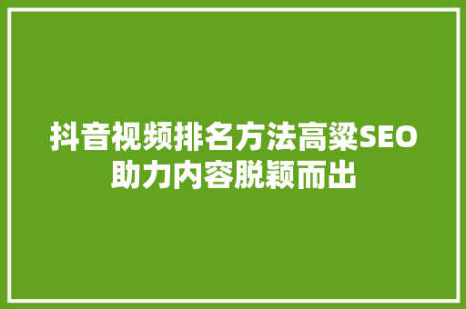 抖音视频排名方法高粱SEO助力内容脱颖而出