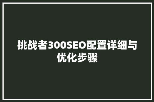 挑战者300SEO配置详细与优化步骤
