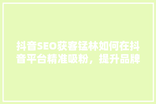 抖音SEO获客锰林如何在抖音平台精准吸粉，提升品牌影响力