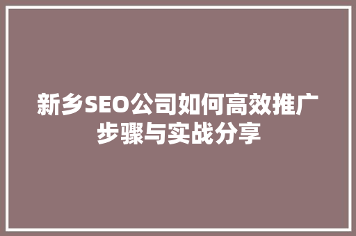 新乡SEO公司如何高效推广步骤与实战分享