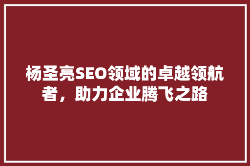 杨圣亮SEO领域的卓越领航者，助力企业腾飞之路