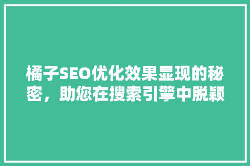 橘子SEO优化效果显现的秘密，助您在搜索引擎中脱颖而出
