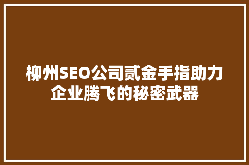 柳州SEO公司贰金手指助力企业腾飞的秘密武器