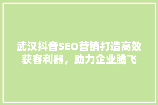 武汉抖音SEO营销打造高效获客利器，助力企业腾飞