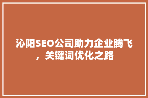 沁阳SEO公司助力企业腾飞，关键词优化之路