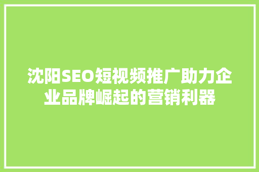 沈阳SEO短视频推广助力企业品牌崛起的营销利器