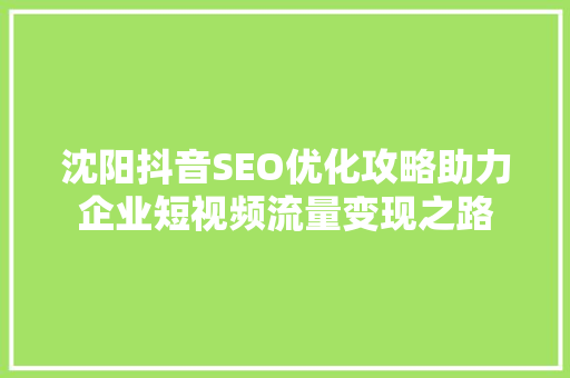 沈阳抖音SEO优化攻略助力企业短视频流量变现之路