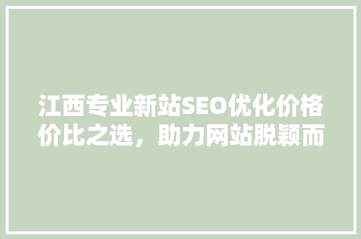 江西专业新站SEO优化价格价比之选，助力网站脱颖而出