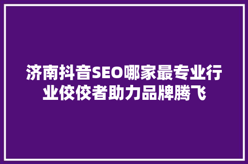济南抖音SEO哪家最专业行业佼佼者助力品牌腾飞