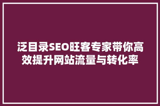 泛目录SEO旺客专家带你高效提升网站流量与转化率