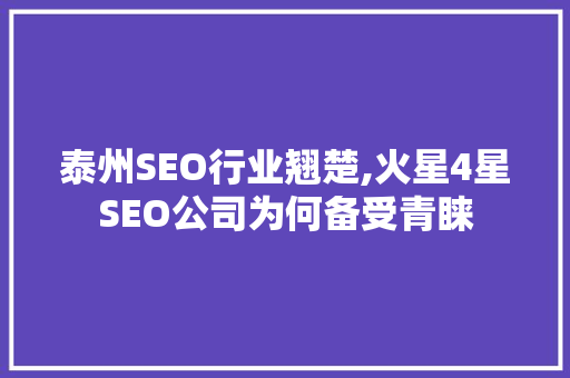 泰州SEO行业翘楚,火星4星SEO公司为何备受青睐