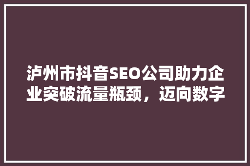 泸州市抖音SEO公司助力企业突破流量瓶颈，迈向数字营销新高峰