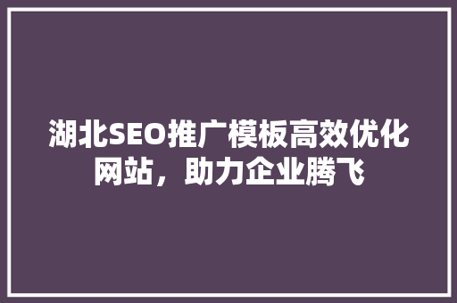 湖北SEO推广模板高效优化网站，助力企业腾飞