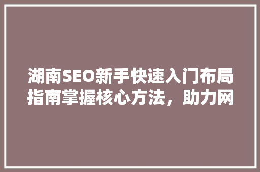 湖南SEO新手快速入门布局指南掌握核心方法，助力网站优化