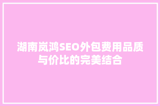 湖南岚鸿SEO外包费用品质与价比的完美结合