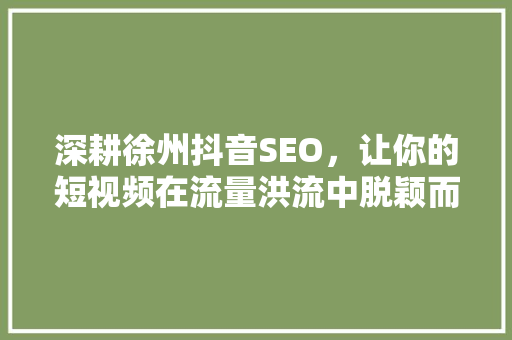 深耕徐州抖音SEO，让你的短视频在流量洪流中脱颖而出