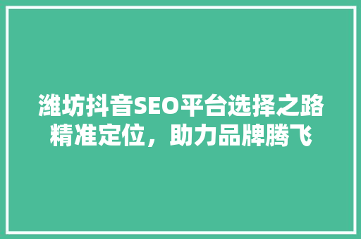潍坊抖音SEO平台选择之路精准定位，助力品牌腾飞