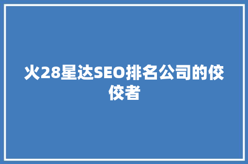 火28星达SEO排名公司的佼佼者