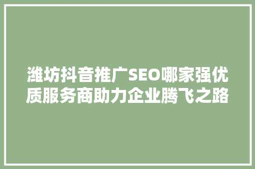 潍坊抖音推广SEO哪家强优质服务商助力企业腾飞之路