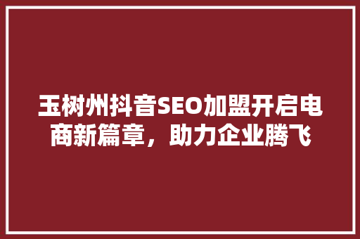 玉树州抖音SEO加盟开启电商新篇章，助力企业腾飞