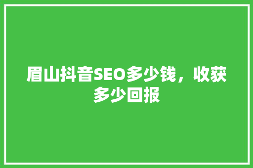 眉山抖音SEO多少钱，收获多少回报