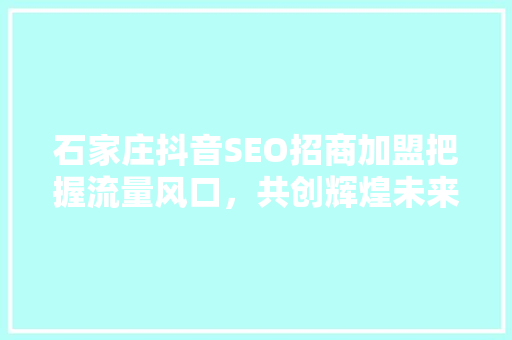石家庄抖音SEO招商加盟把握流量风口，共创辉煌未来