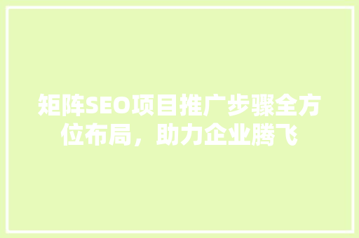 矩阵SEO项目推广步骤全方位布局，助力企业腾飞
