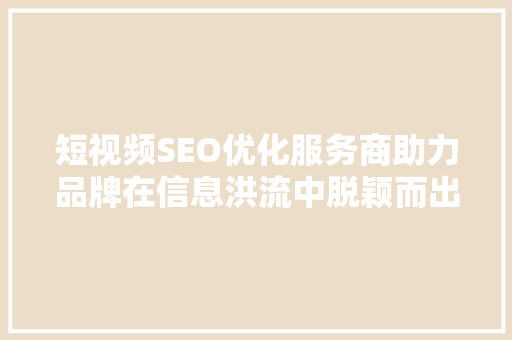 短视频SEO优化服务商助力品牌在信息洪流中脱颖而出