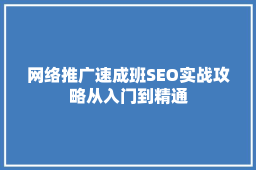 网络推广速成班SEO实战攻略从入门到精通