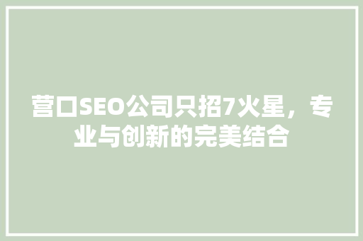 营口SEO公司只招7火星，专业与创新的完美结合
